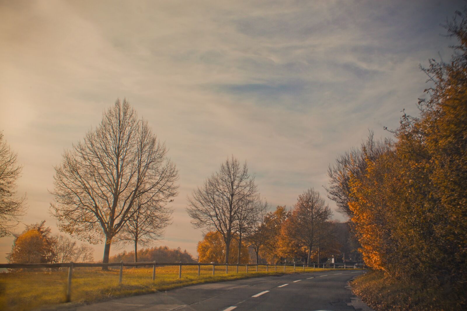 Canon EOS 500D (EOS Rebel T1i / EOS Kiss X3) sample photo. Road, nature, landscape photography