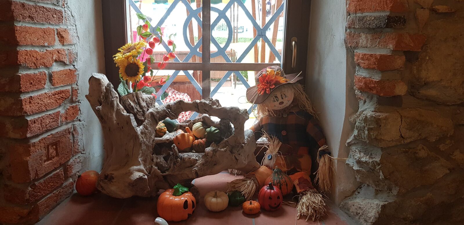 Samsung Galaxy S8 sample photo. Pumpkin, picture, orange photography