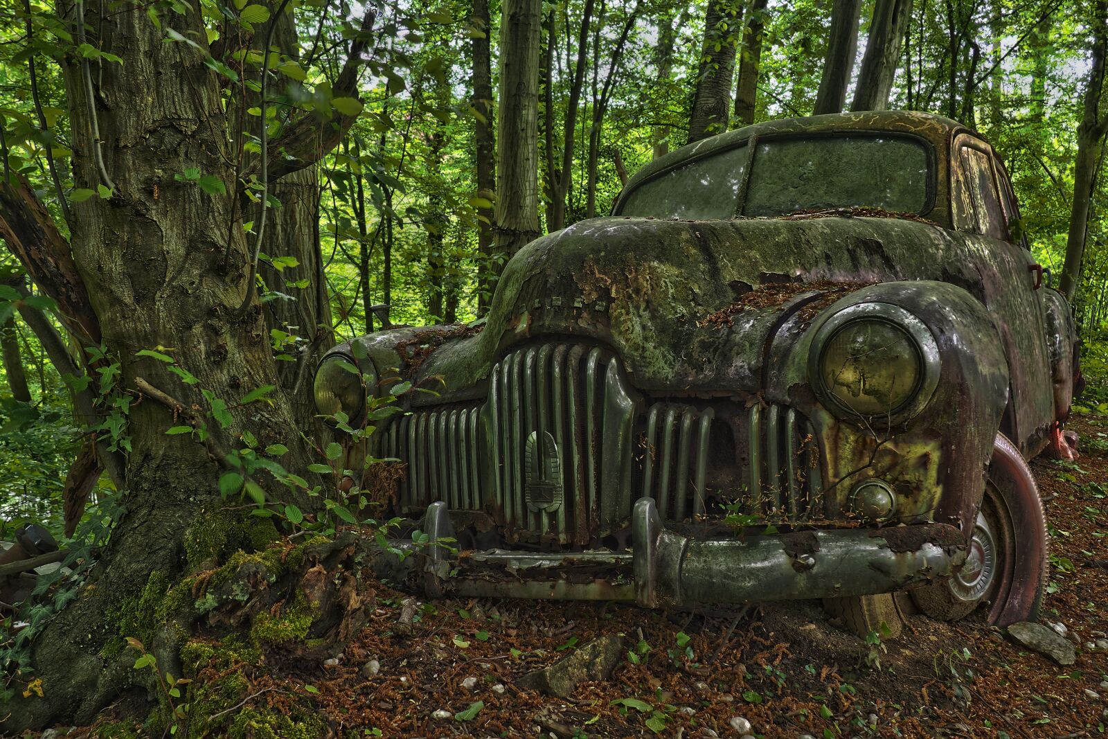 Olympus OM-D E-M10 sample photo. Auto, car cemetery, oldtimer photography