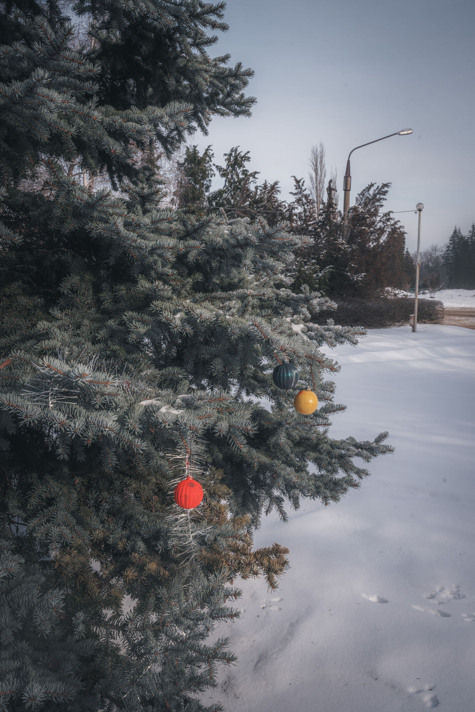 Nikon D750 sample photo