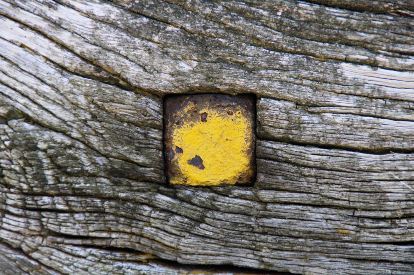 Canon EOS 2000D (EOS Rebel T7 / EOS Kiss X90 / EOS 1500D) sample photo. Wood, weathered, rusty photography