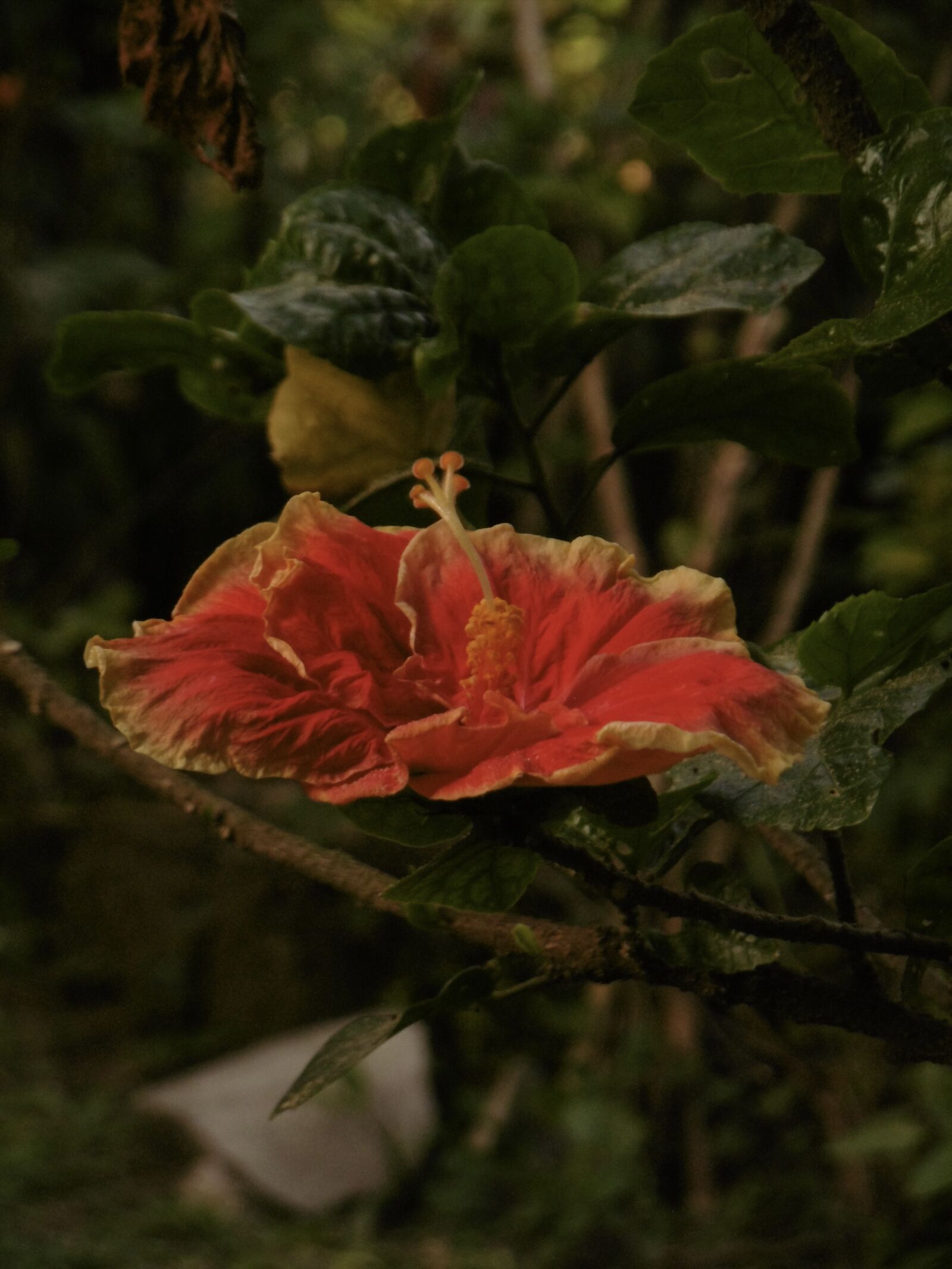 Panasonic DMC-SZ10 sample photo