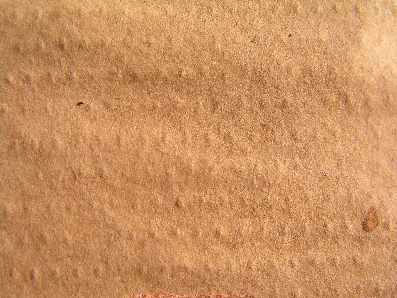 Olympus C5050Z sample photo. Material quality, background, foam photography