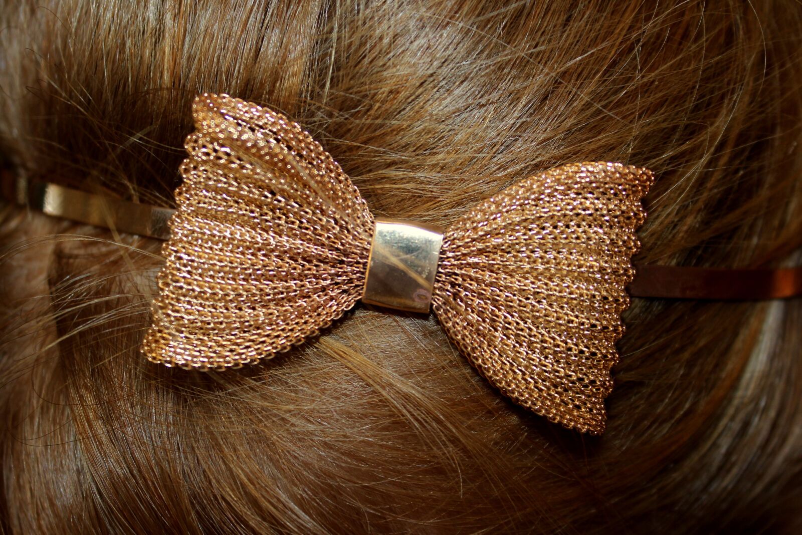Canon EOS 1200D (EOS Rebel T5 / EOS Kiss X70 / EOS Hi) sample photo. Bow, hair, hair ornaments photography