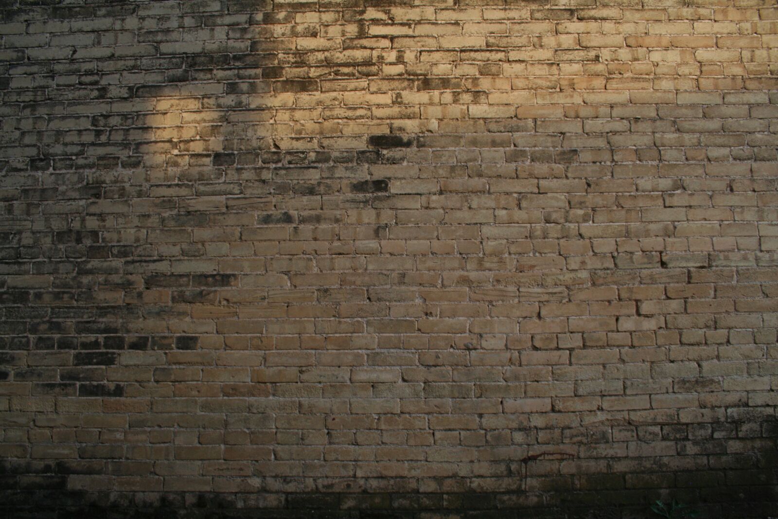 Canon EOS 350D (EOS Digital Rebel XT / EOS Kiss Digital N) sample photo. Brick, wall, texture photography