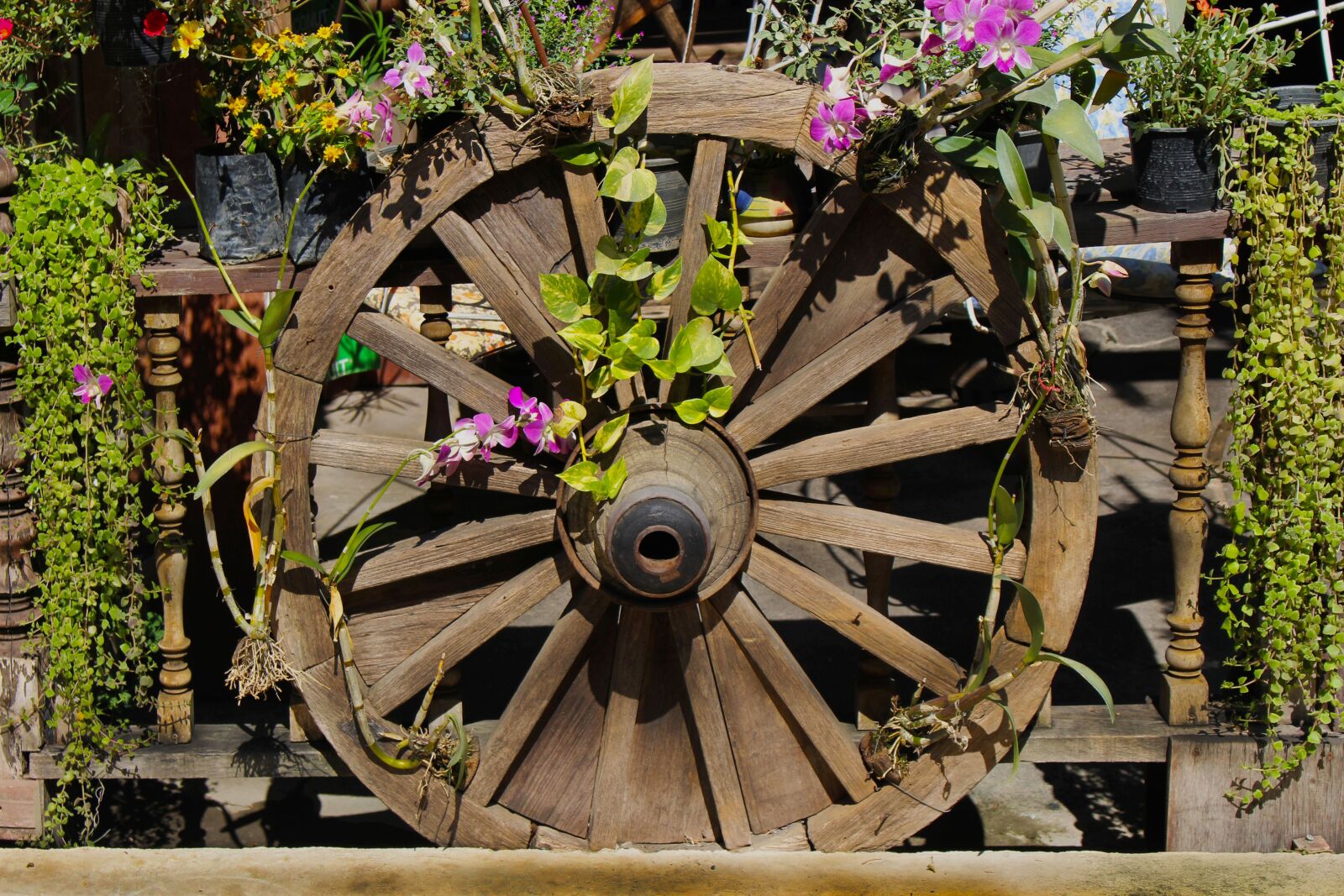 Canon EOS 700D (EOS Rebel T5i / EOS Kiss X7i) sample photo. Wheel, wagon wheel, old photography