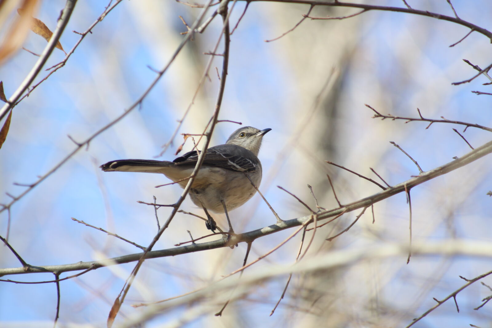 Canon EOS 50D sample photo