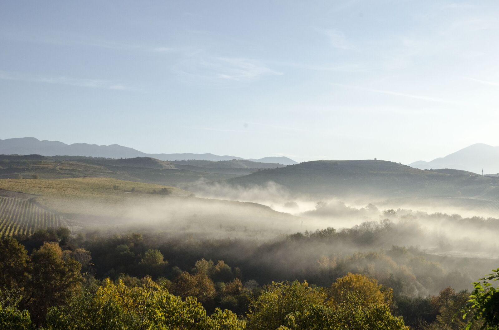 Nikon D7000 sample photo. Autumn, landscape, fog photography
