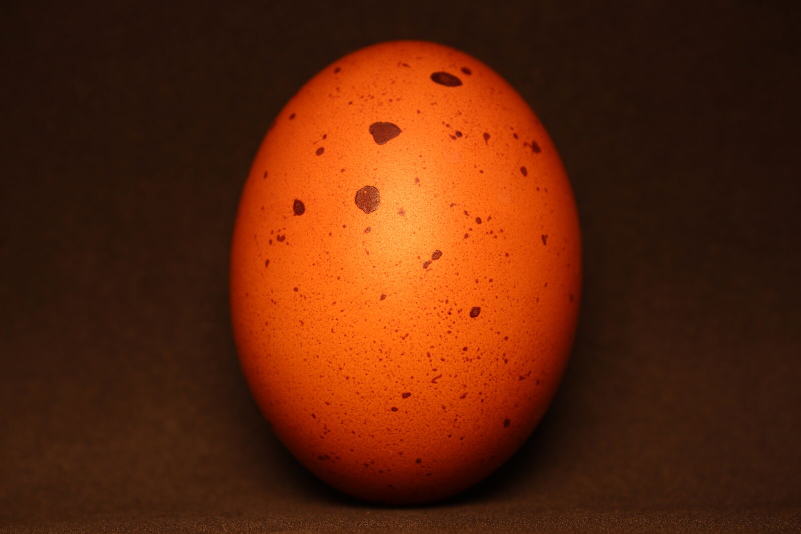 Canon EOS 700D (EOS Rebel T5i / EOS Kiss X7i) sample photo. Egg, brown, food photography