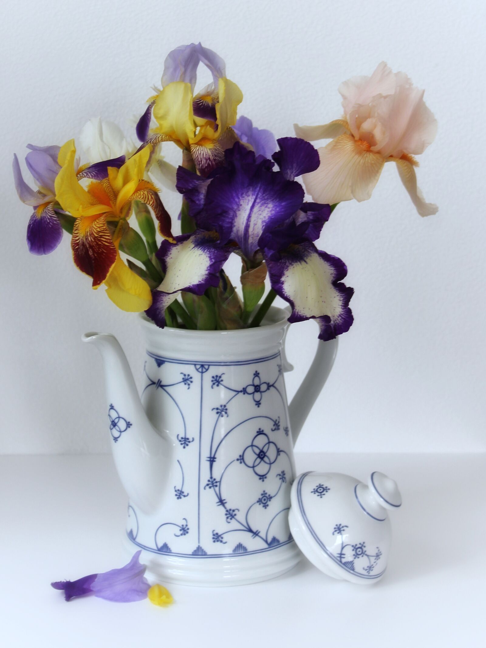 Canon EOS 1300D (EOS Rebel T6 / EOS Kiss X80) sample photo. Iris, schwertliliengewaechs, vase photography