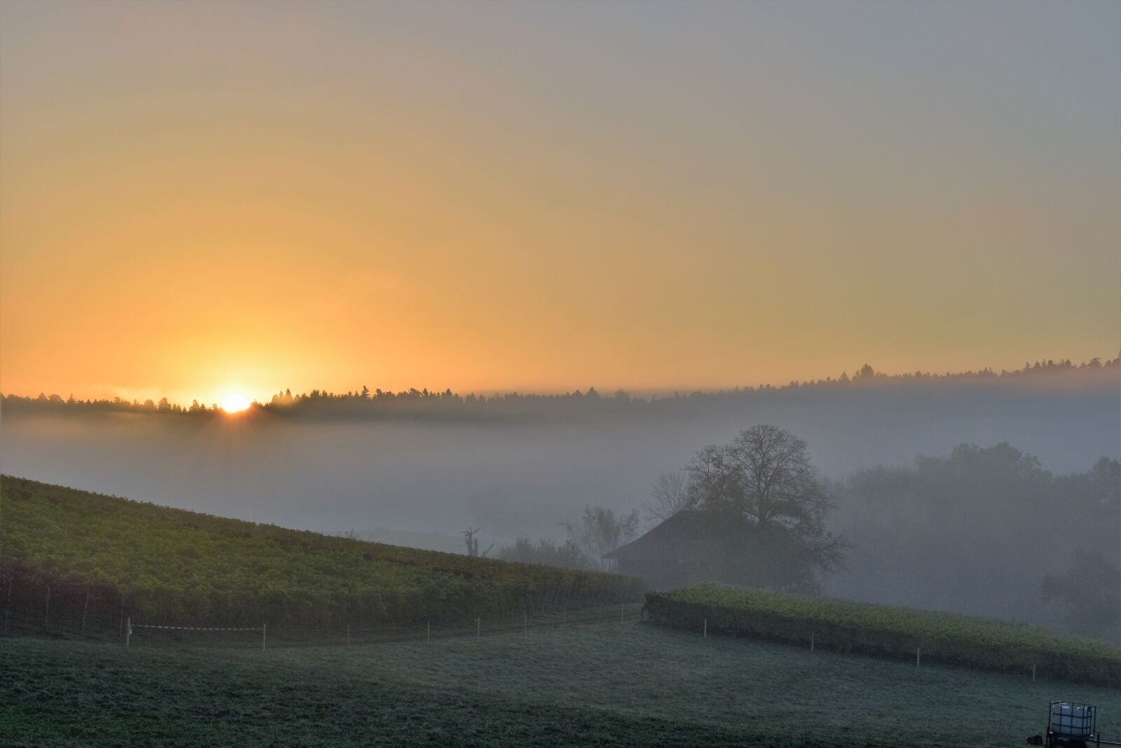 Nikon D5500 sample photo. Landscape, autumn, mood photography