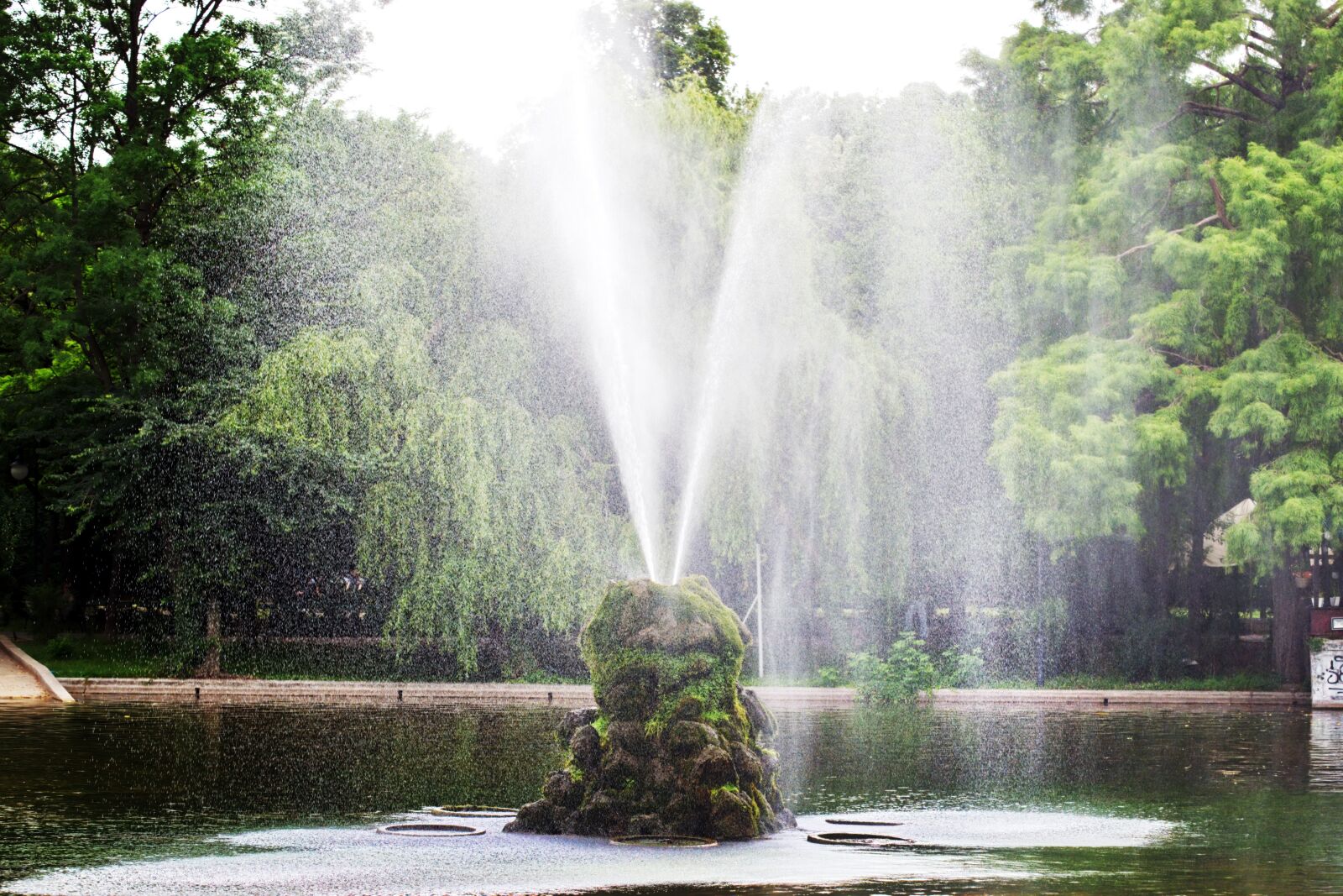 Nikon D5300 sample photo. The fountain, artesian, water photography