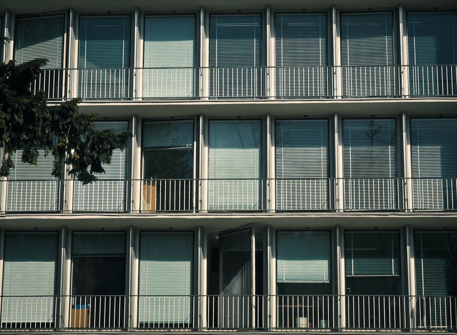 Olympus OM-D E-M10 sample photo. Architecture, window, facade photography