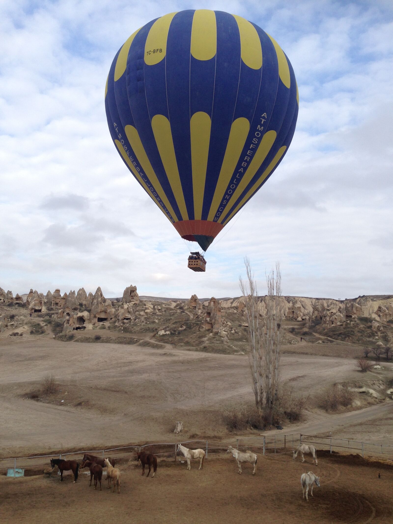 Apple iPhone 5 sample photo. Balloon, balloons, ballooning photography