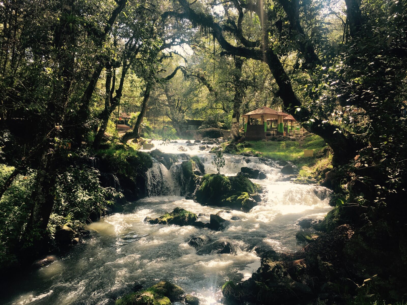 Apple iPhone 6s sample photo. River, nature, landscape photography