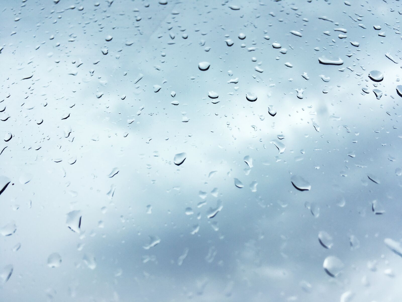 Apple iPhone SE sample photo. Rain, windows, window photography