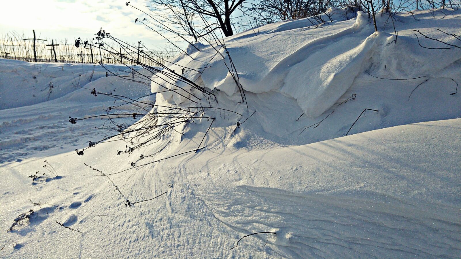 LG G4 sample photo. Snow, zaspa, winter photography