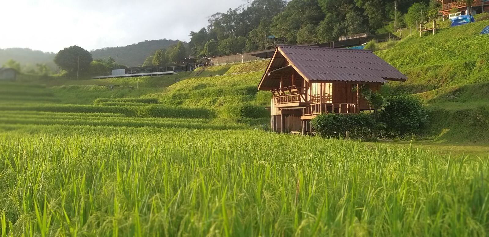 Samsung Galaxy A9 (2018) sample photo. Nature, refreshing, thailand photography
