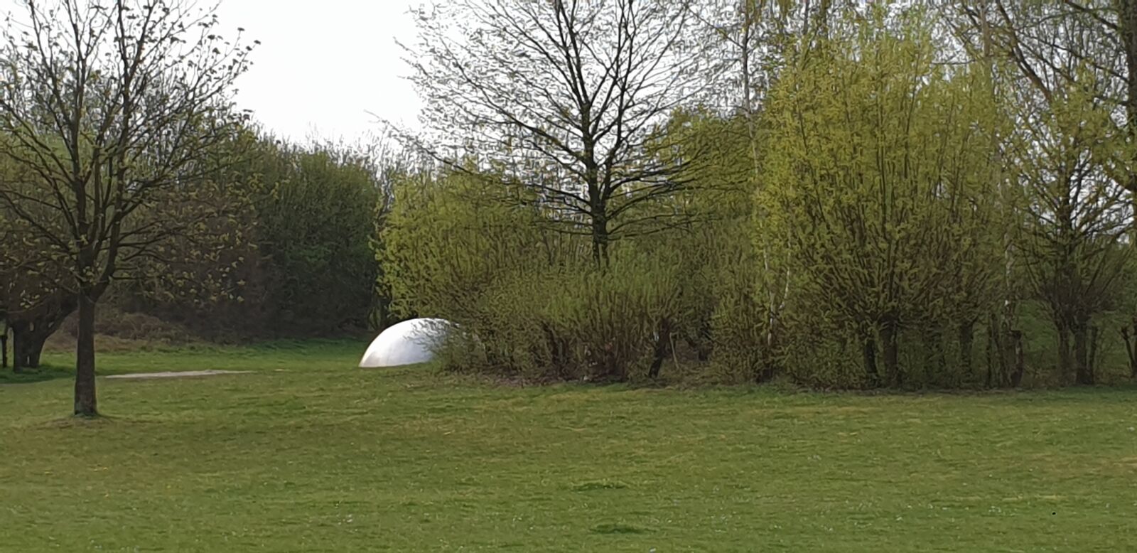 Samsung Galaxy S9 sample photo. Park, green, nature photography