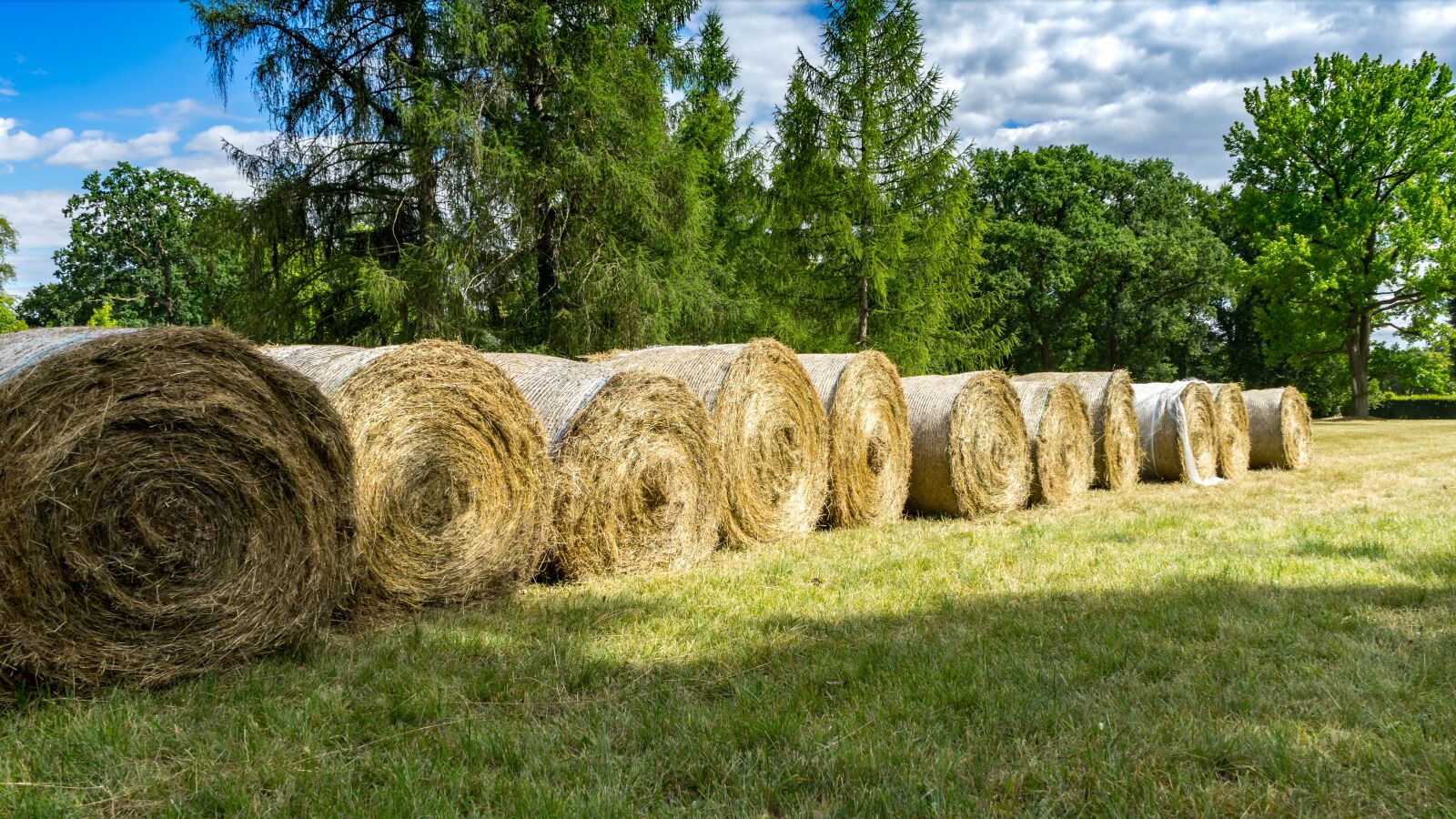 Sony a7 II + Sony FE 28-70mm F3.5-5.6 OSS sample photo. Hay bales, hay, nature photography