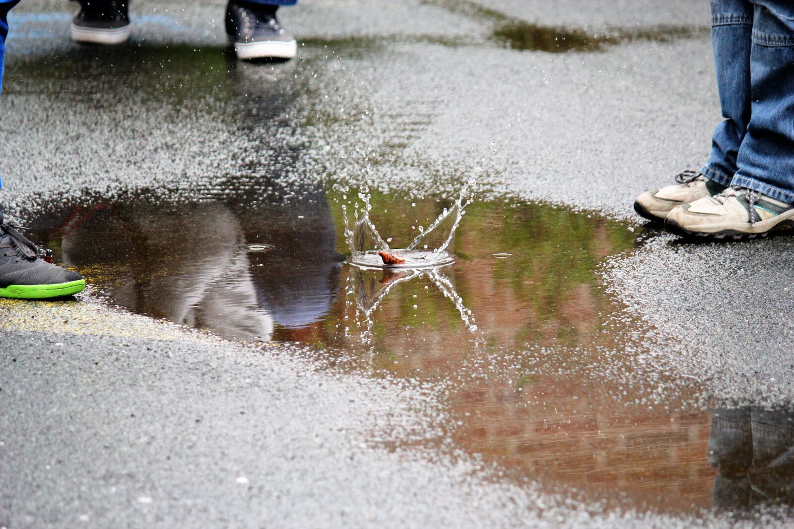 Canon EOS 550D (EOS Rebel T2i / EOS Kiss X4) sample photo. Puddle, squirts, water photography