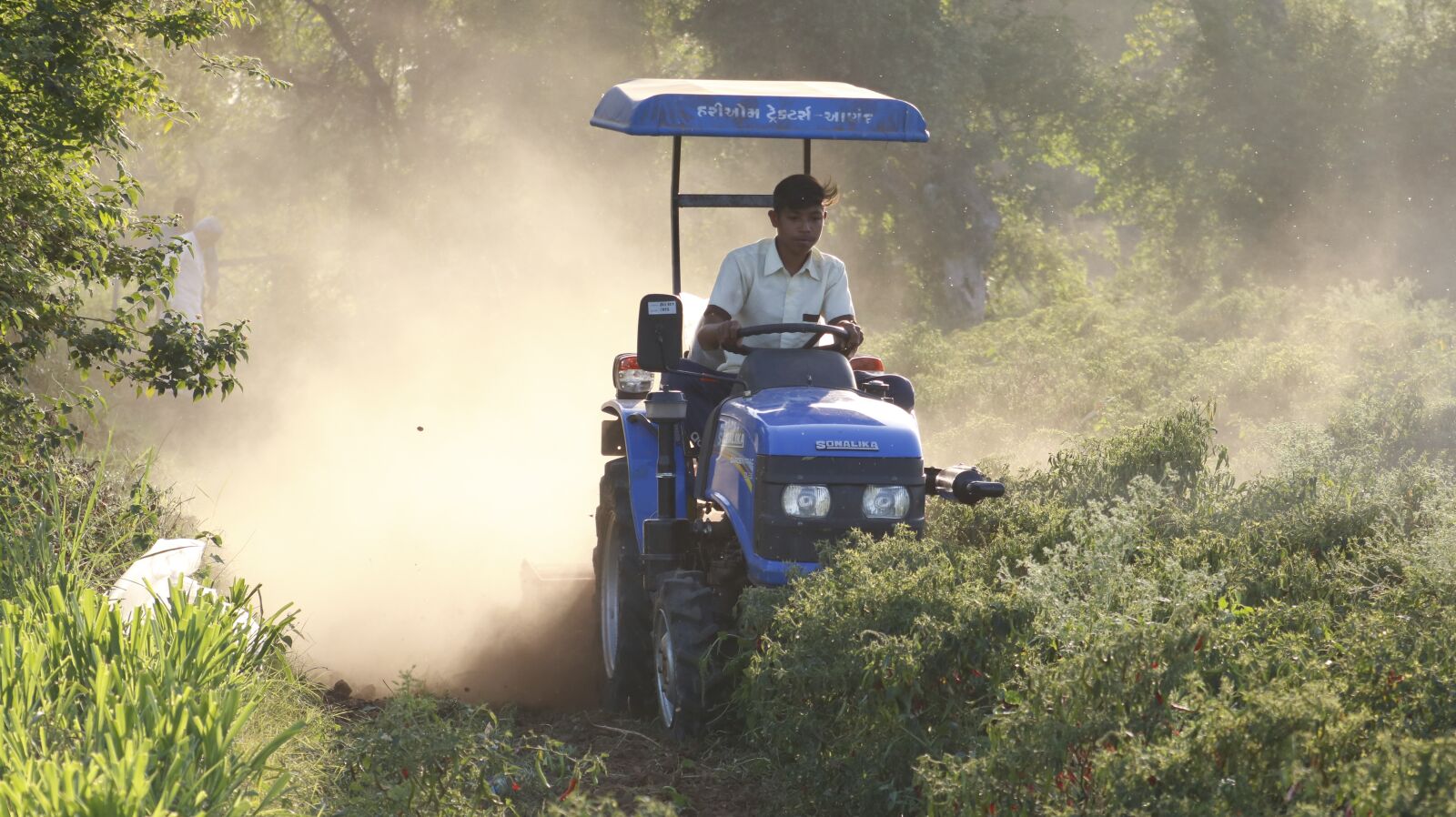 Canon EF75-300mm f/4-5.6 sample photo. Farm, nature, agriculture photography