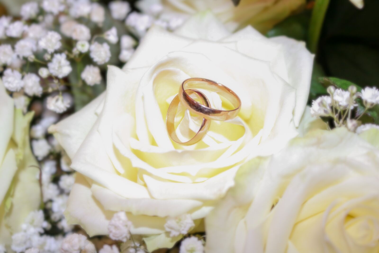 Canon EOS 750D (EOS Rebel T6i / EOS Kiss X8i) sample photo. Wedding, rings, jewellery photography