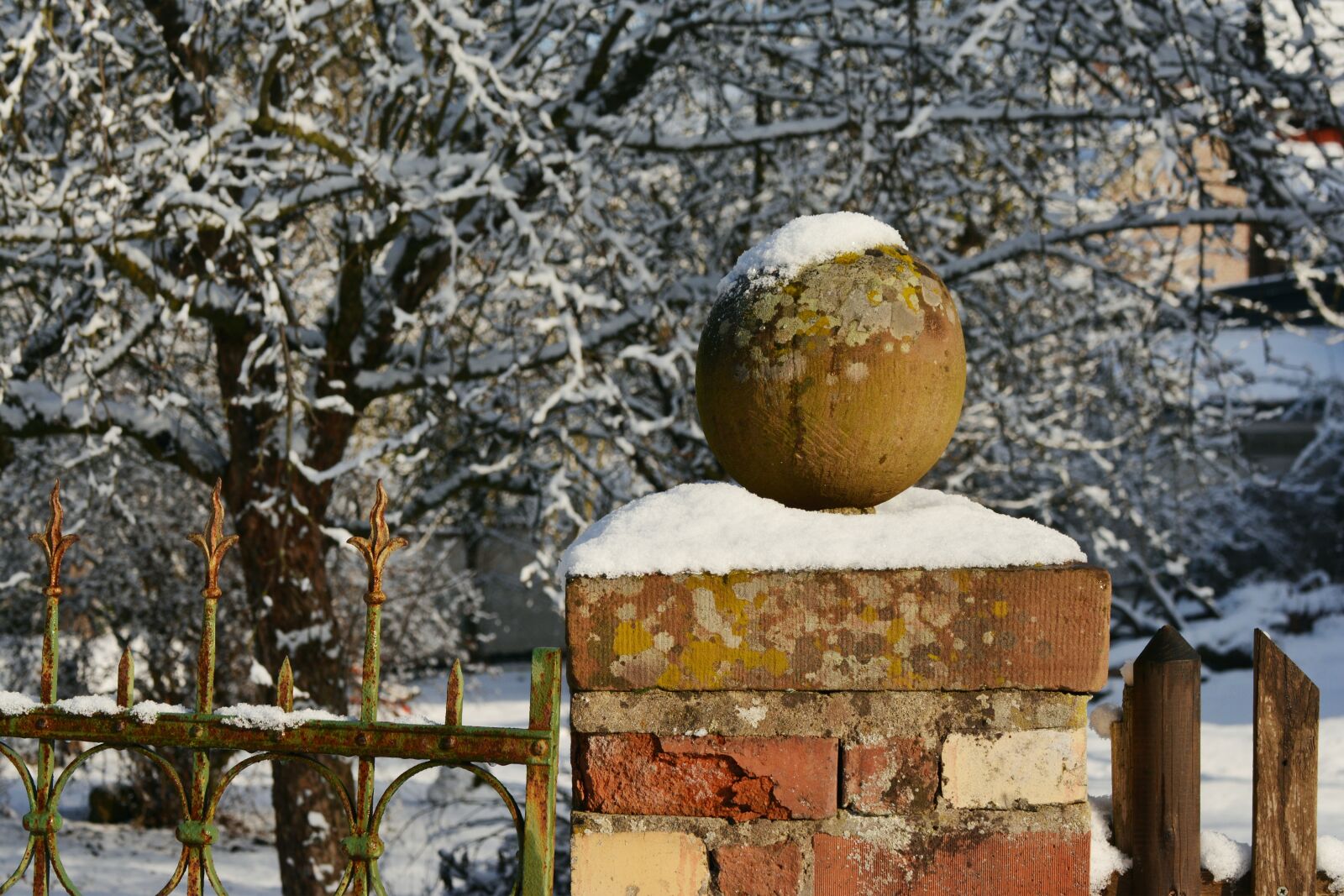 Nikon D5200 sample photo. Winter, fence, snowy photography