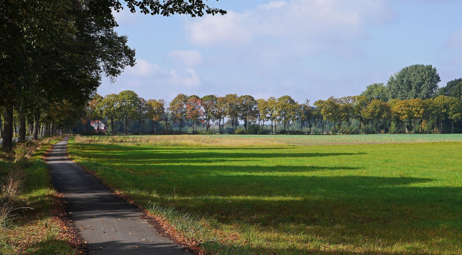 Panasonic Lumix DMC-GH3 sample photo. Autumn landscape, shadow, emerge photography