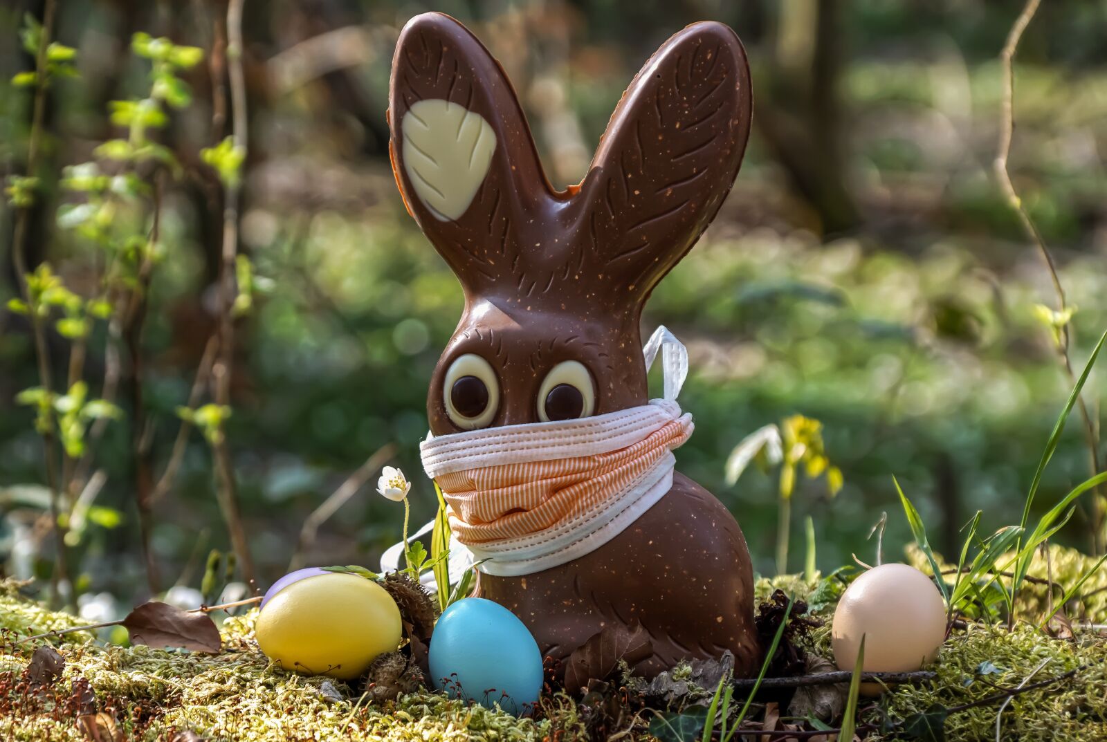 Sony DT 18-135mm F3.5-5.6 SAM sample photo. Easter, 2020, corona photography