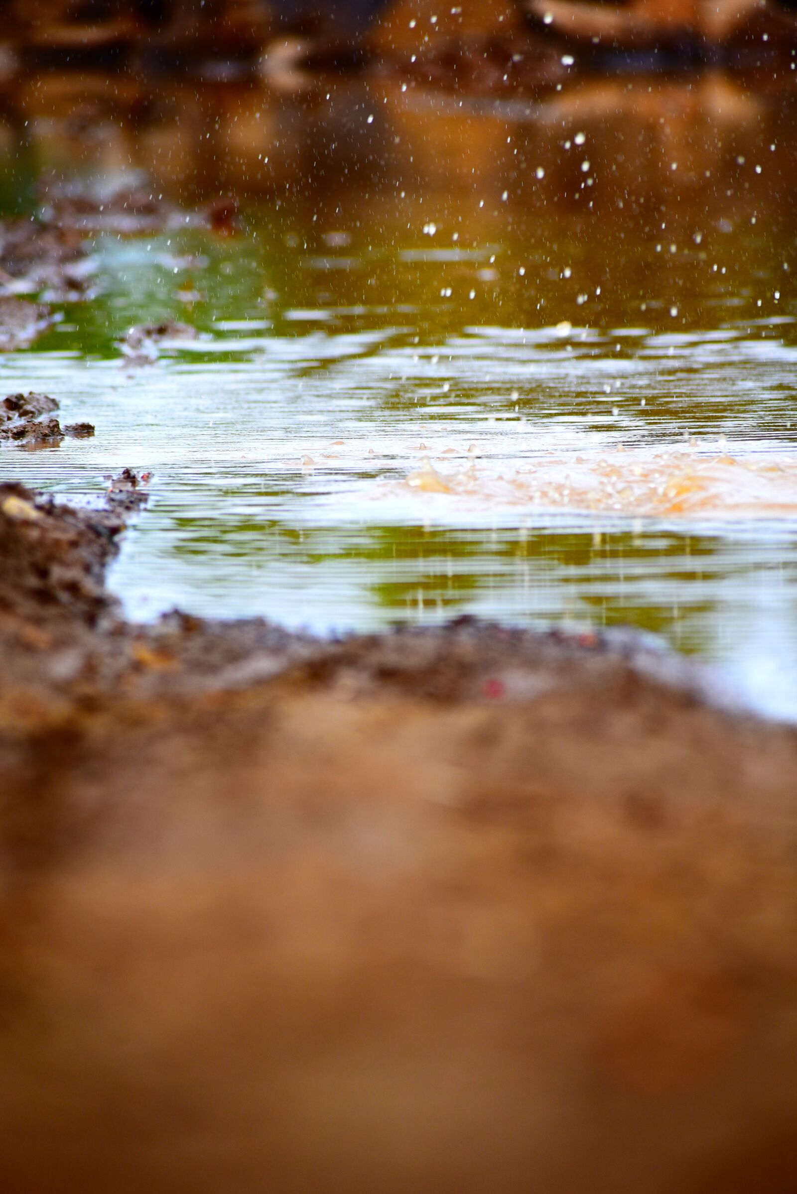 Nikon D5600 sample photo. Nature, water, low angle photography
