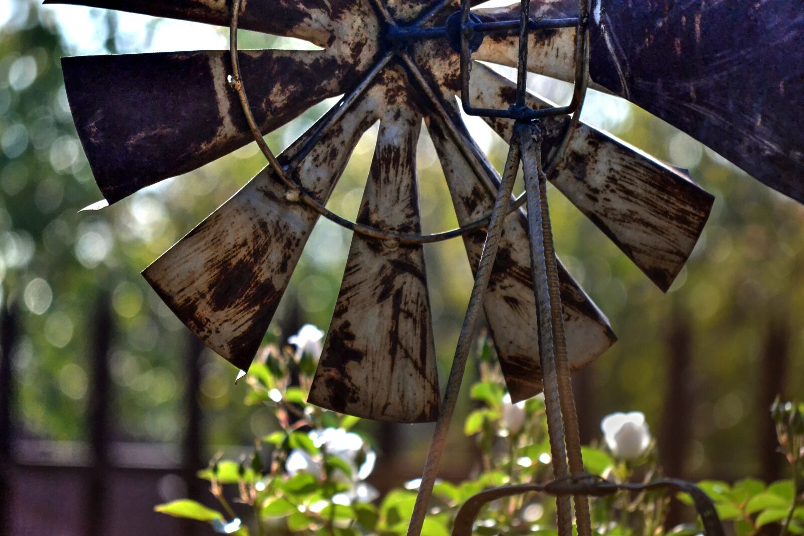 Nikon D3100 sample photo. Windmill, garden, rusted photography