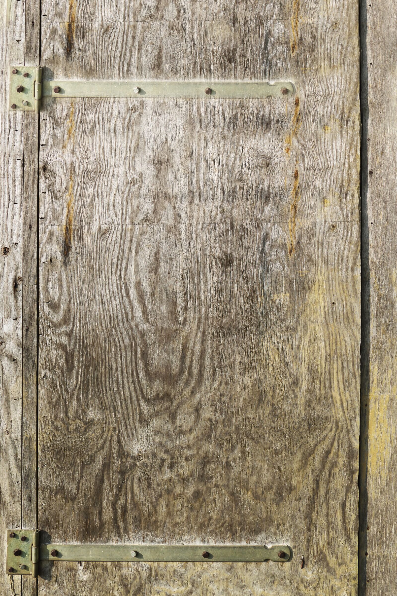 Panasonic Lumix DMC-FZ1000 sample photo. Wooden door, joiner plate photography