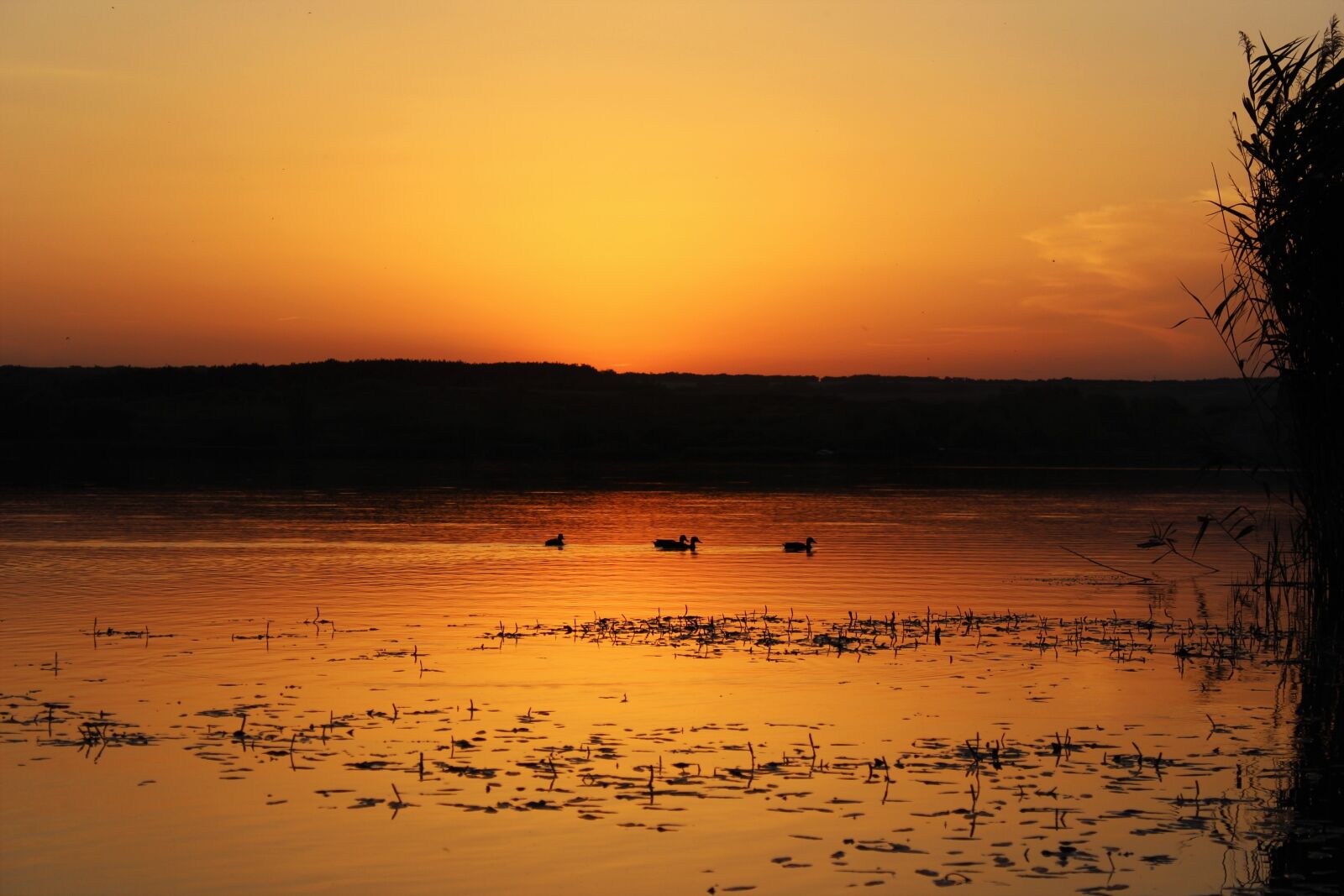 Canon EOS 600D (Rebel EOS T3i / EOS Kiss X5) sample photo. Sunset, dawn, nobody photography
