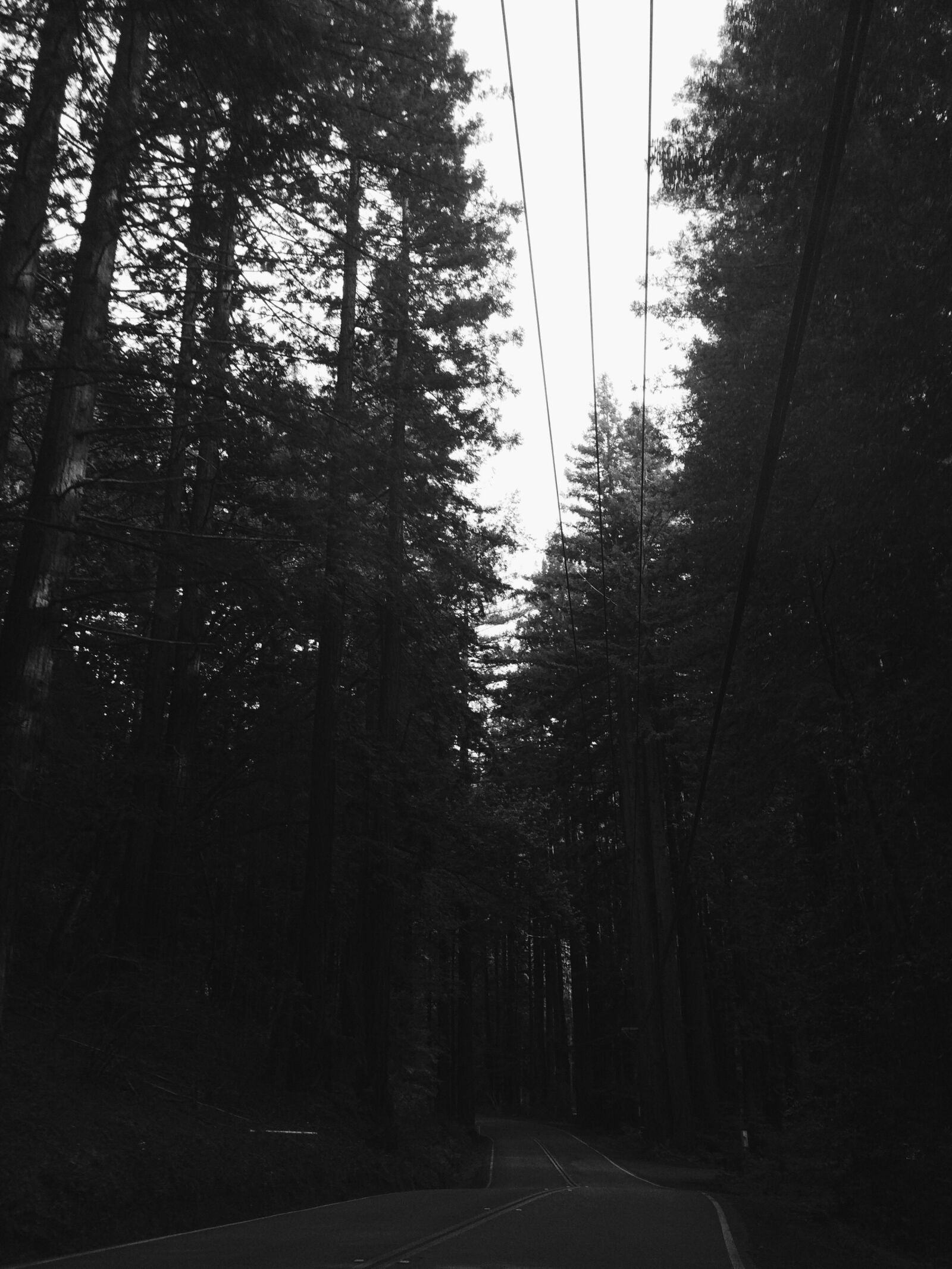 Apple iPhone 5s sample photo. Road, trees, trunks photography