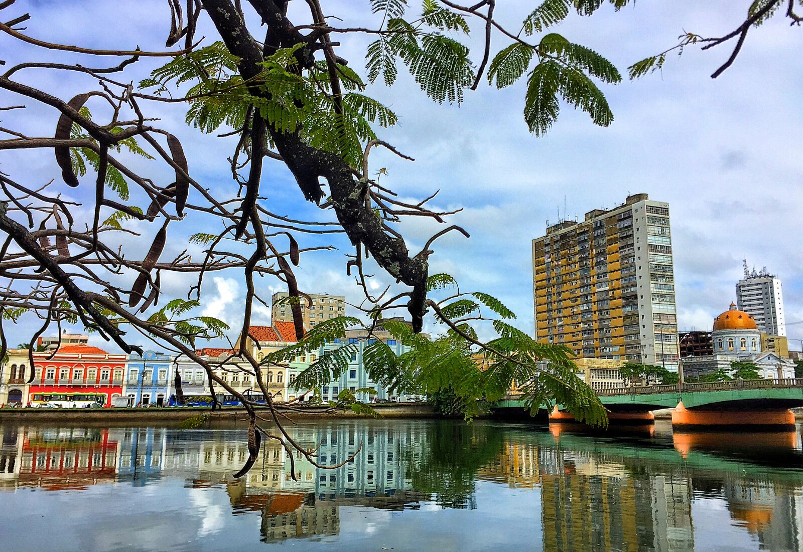 iPhone 6 back camera 4.15mm f/2.2 sample photo