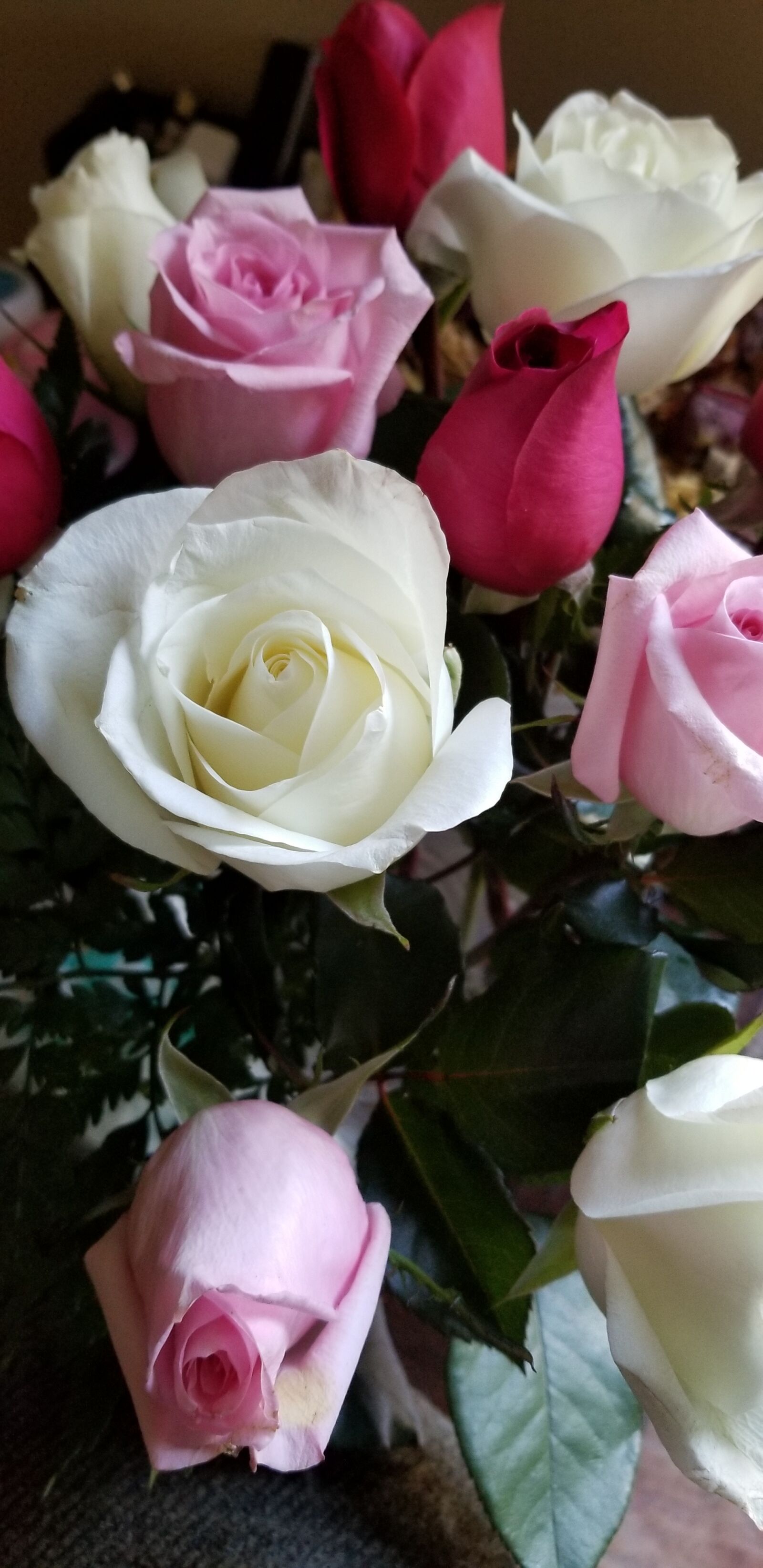 Samsung Galaxy S8 sample photo. Rose, flower, love photography