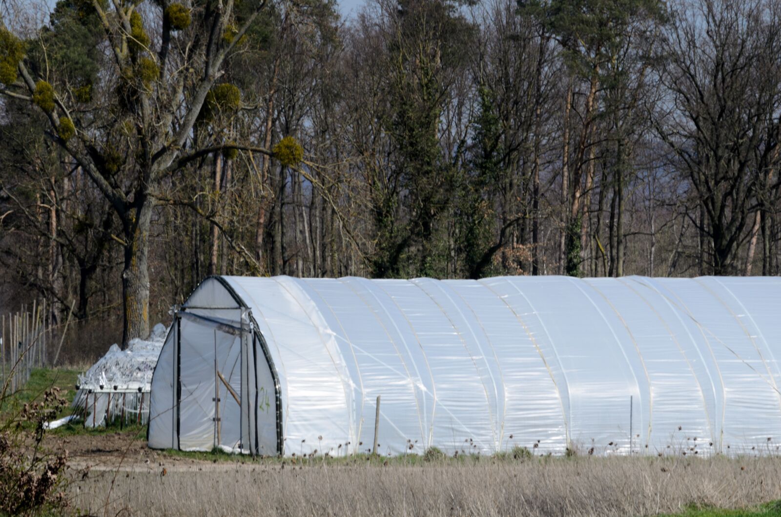 Nikon D5100 sample photo. Greenhouse, nursery, tent photography