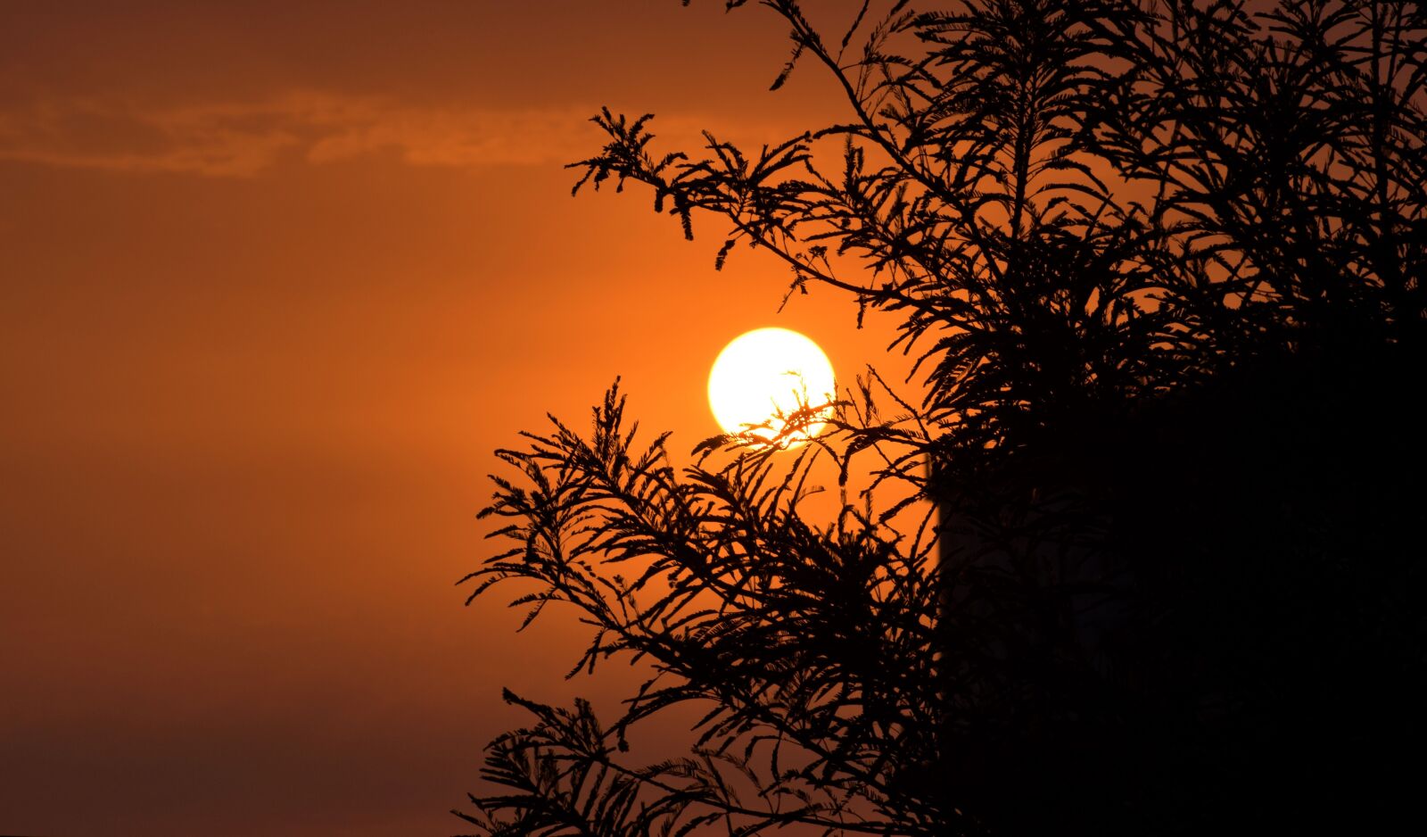 Nikon D5600 sample photo. Nature, sunrise, landscape photography