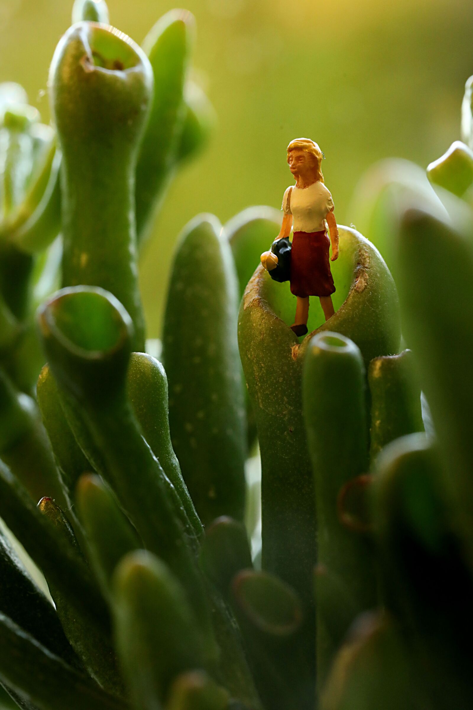 Canon EOS R sample photo. Figure, winnow, plant photography