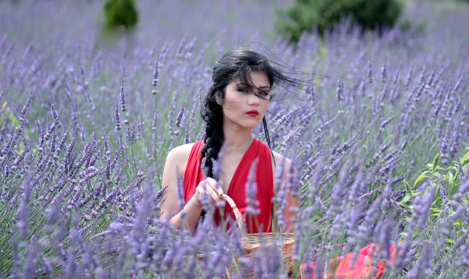 Canon EOS 450D (EOS Rebel XSi / EOS Kiss X2) sample photo. Girl, lavender, flowers photography