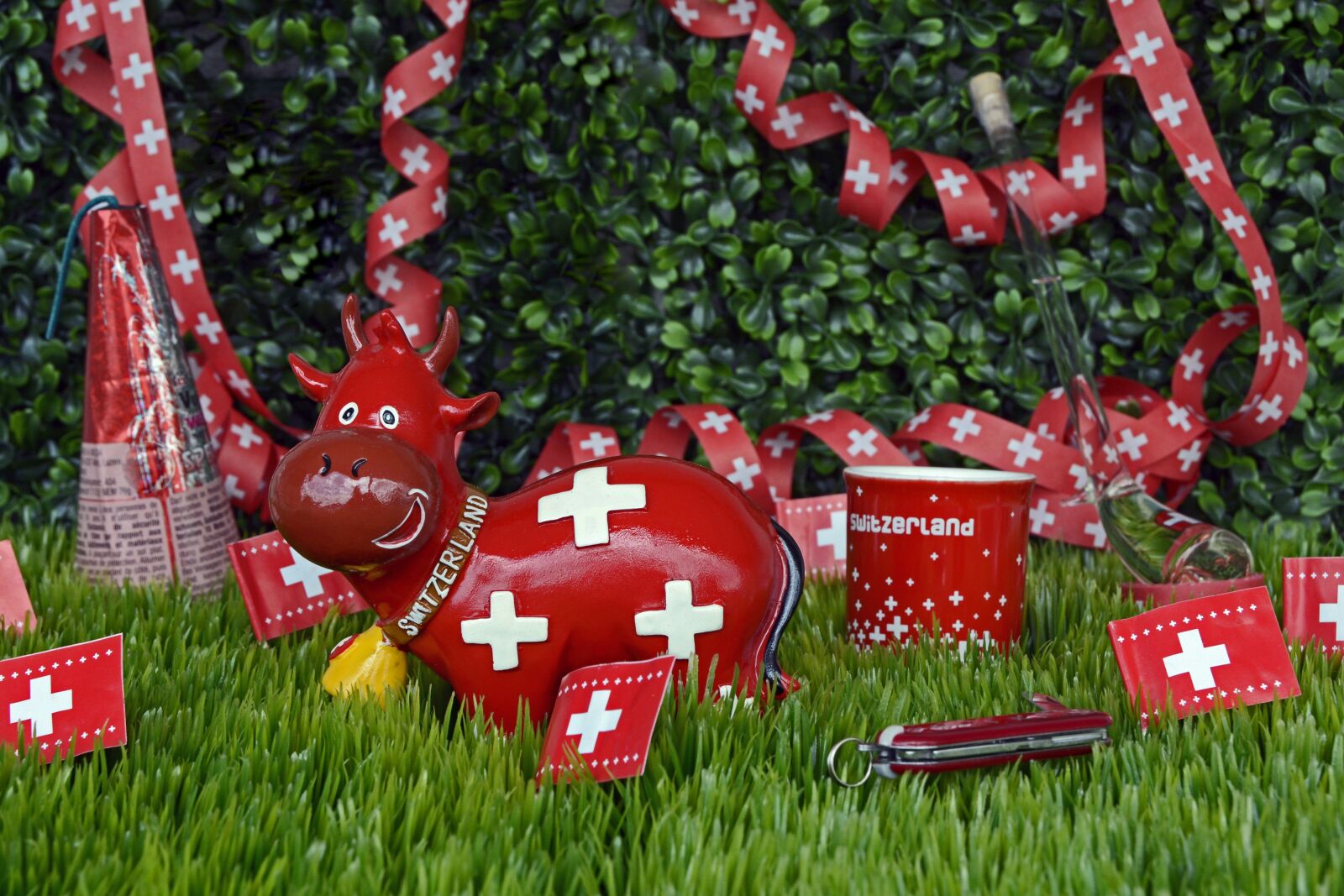 Nikon D7100 sample photo. National day, switzerland, celebrate photography