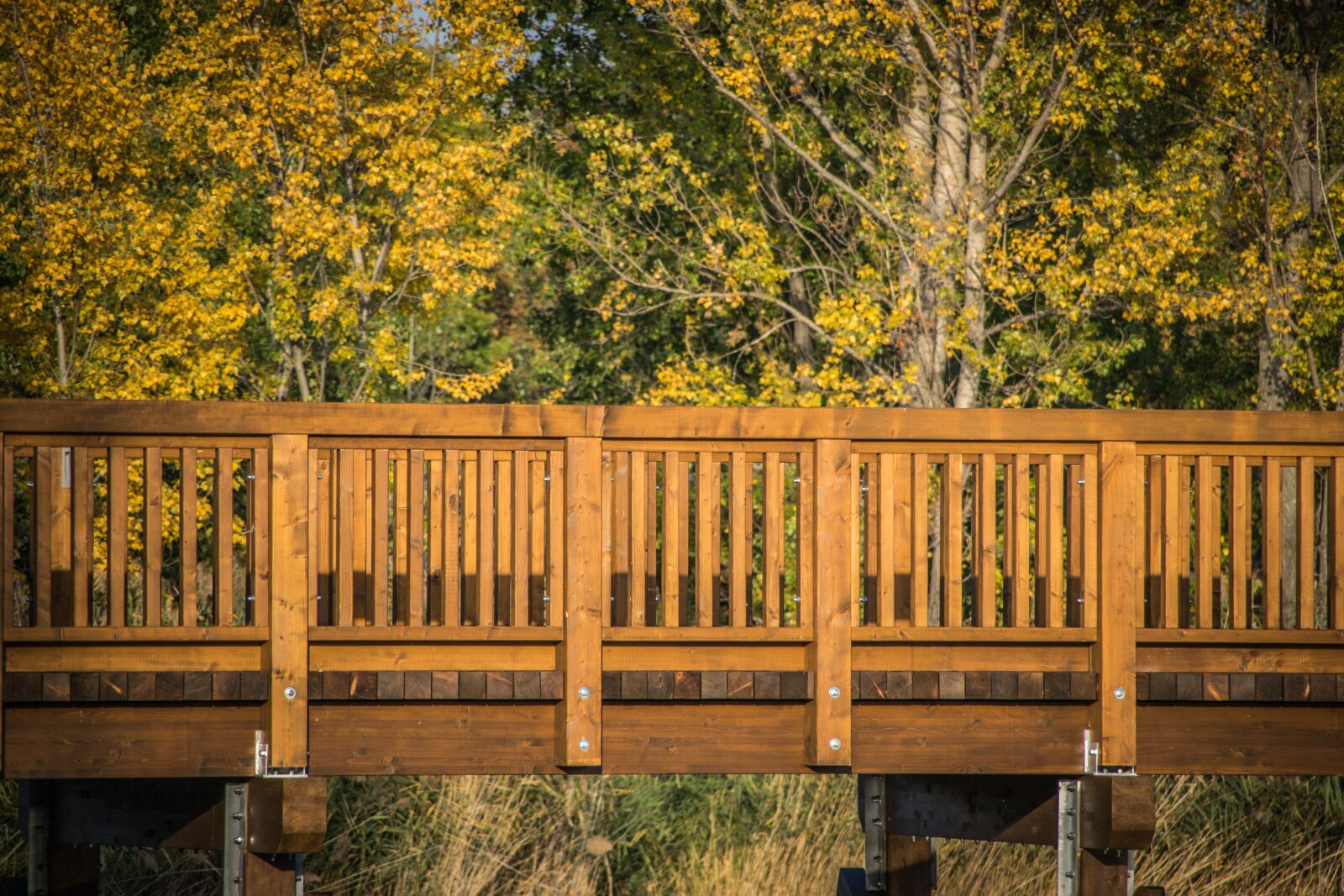Nikon D5300 sample photo. Footbridge, wood, bridge photography