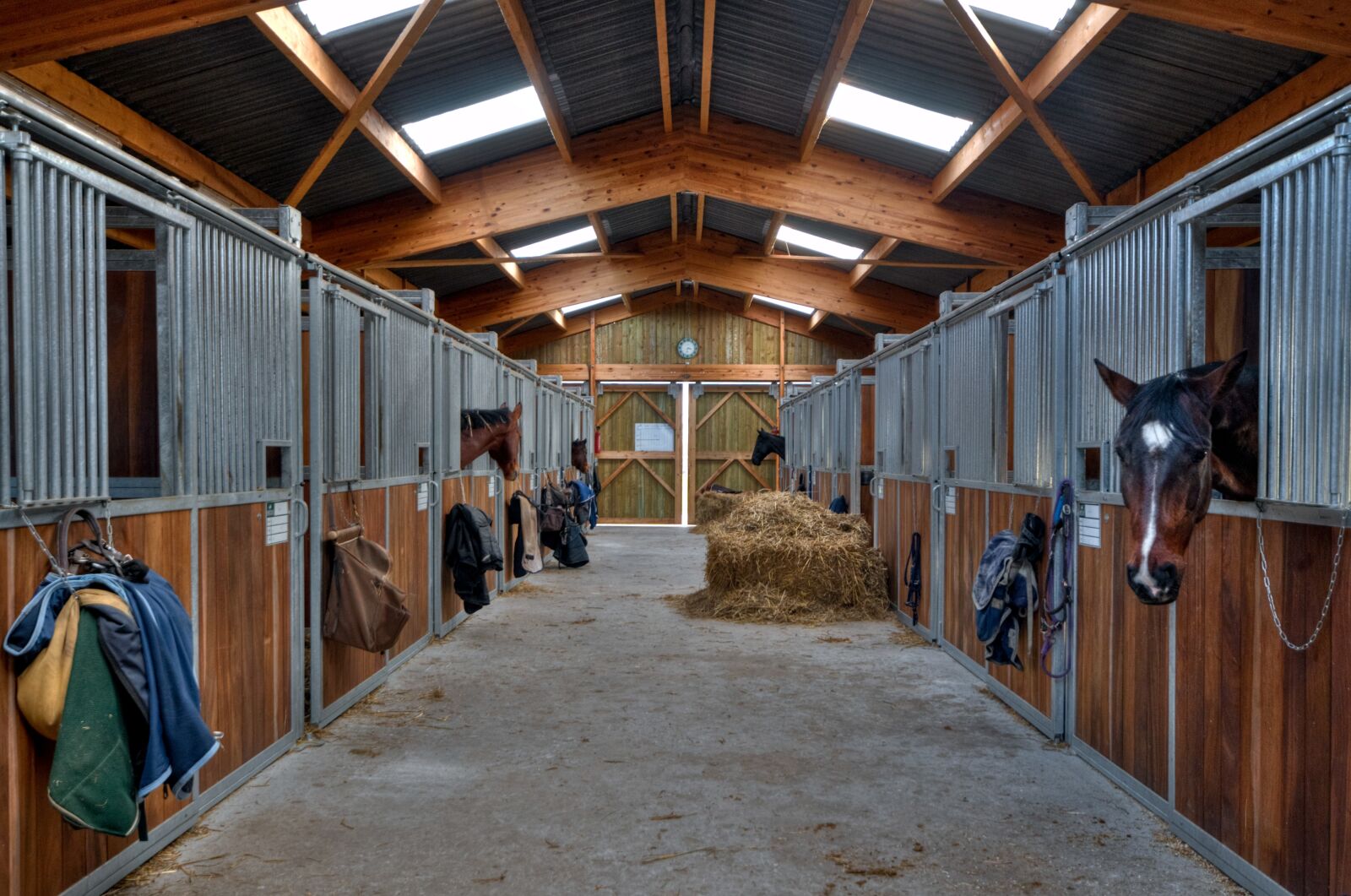 Nikon D300 sample photo. Stable, horse, interior photography