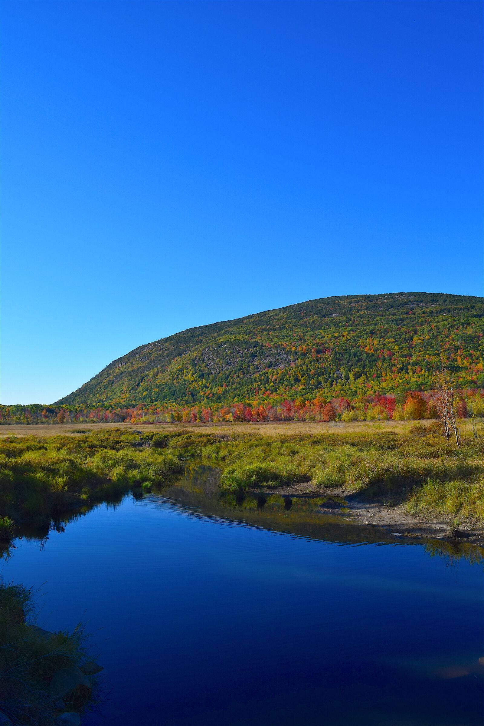 Nikon D3300 sample photo. Mountain, pond, nature photography