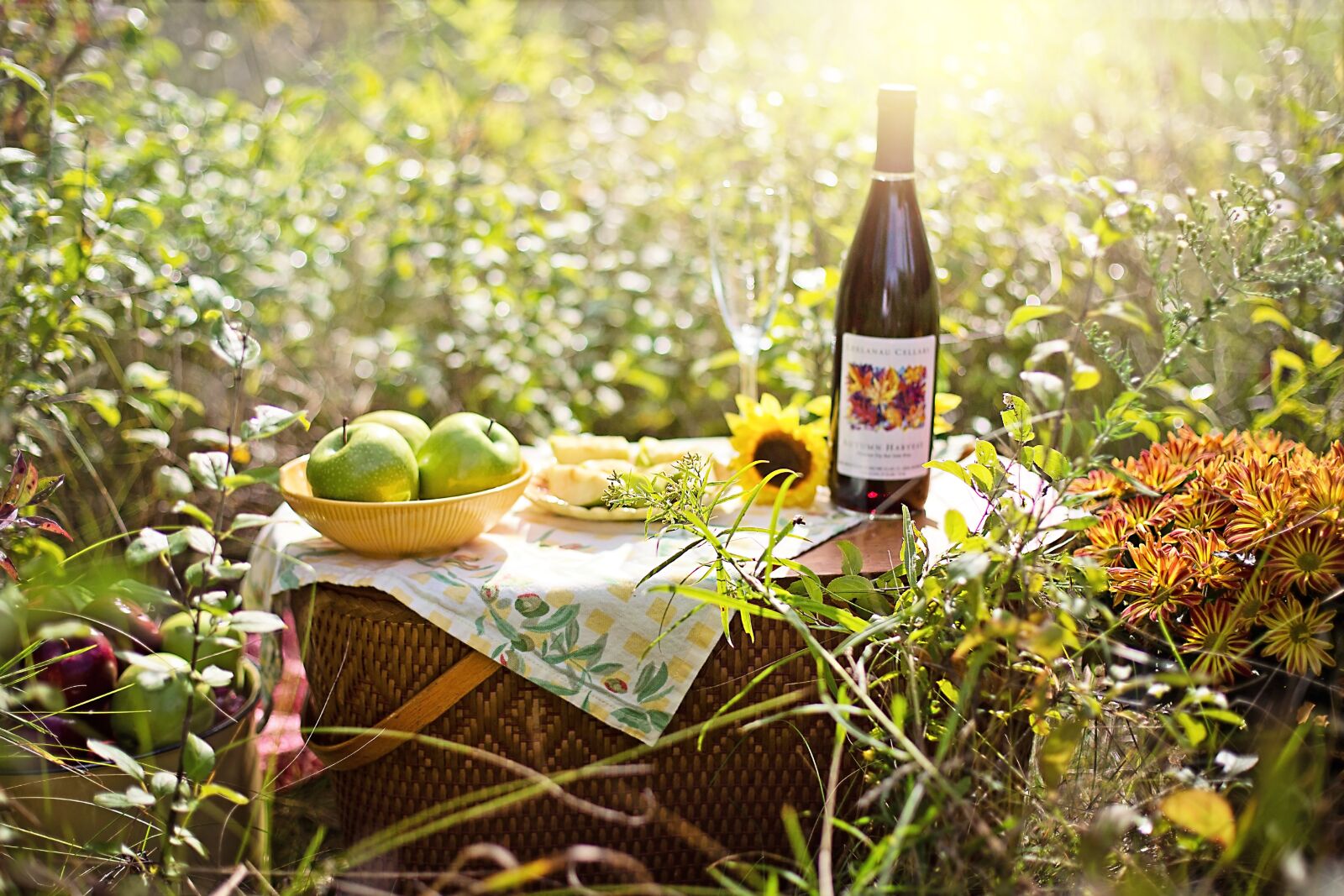 Canon EF 50mm F1.4 USM sample photo. Picnic, wine, apples photography