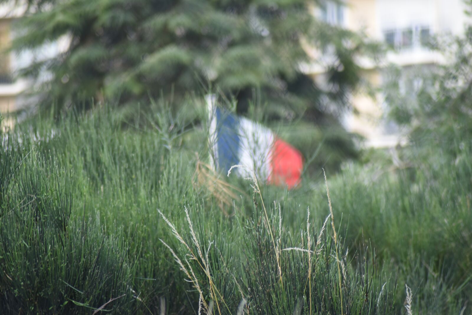 Nikon D750 sample photo. France, flag, bokeh photography