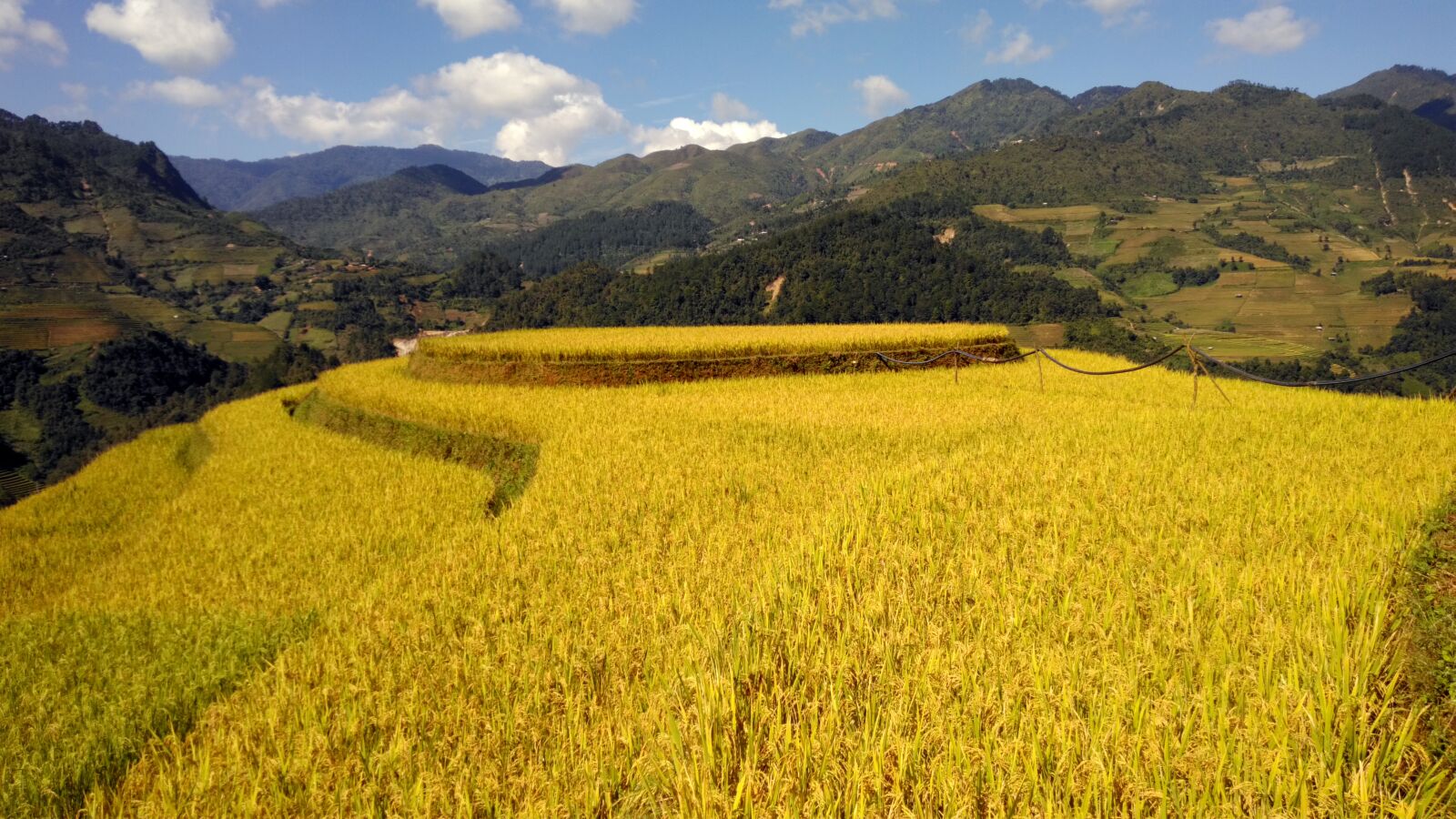 ASUS X013D sample photo. Terrace, rice field, mountain photography