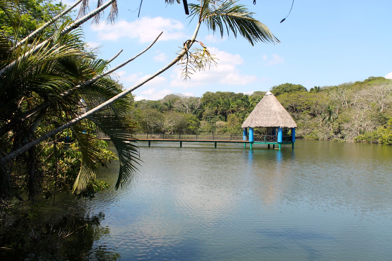 Canon EOS 1100D (EOS Rebel T3 / EOS Kiss X50) sample photo. Tabasco, mexico, travel photography
