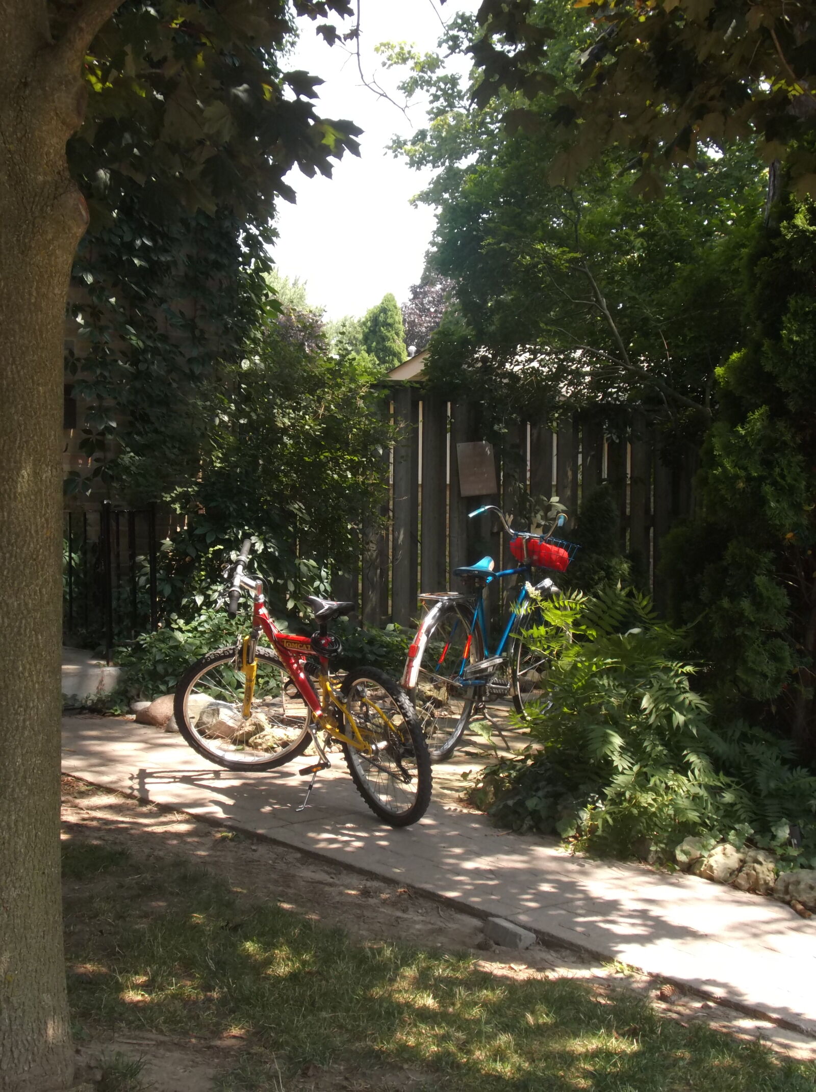 Fujifilm FinePix T550 sample photo. Bikes photography